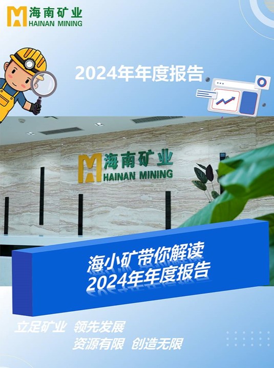 海小矿带你解读2024年年度报告